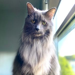 Meet your Posher, Abigail